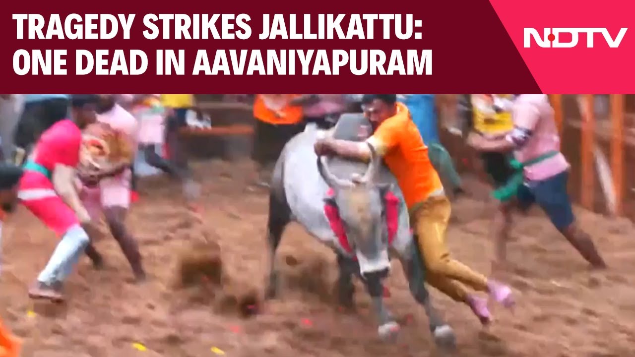 Tragedy Strikes Jallikattu: One Dead In Aavaniyapuram As Major Events Await