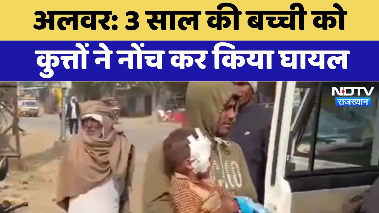 Alwar Dog Attack: तीन साल की बच्ची को  कुत्तों ने नोंच कर किया घायल | Latest | Rajasthan News