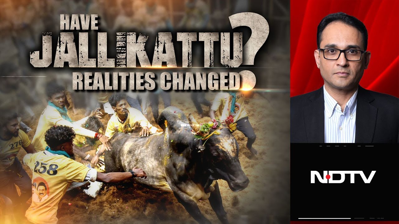 Video : Pongal 2025 | What's Changed About Jallikattu?