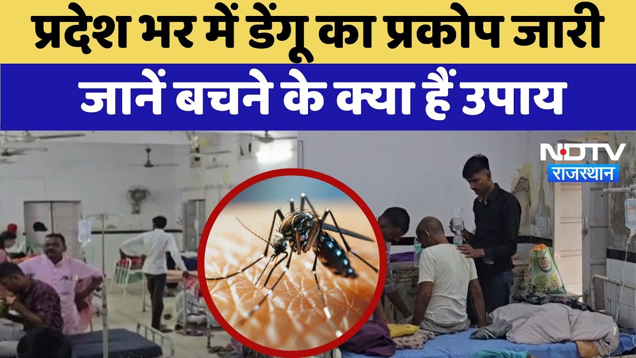 Rajasthan भर में Dengue का प्रकोप जारी,जानें बचने के क्या हैं उपाय | Latest News