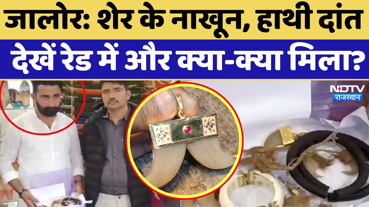 Jalore Poaching:  शेर के नाखून, हाथी दांत, गेंडे की खाल समेत देखें Raid में और क्या-क्या मिला?