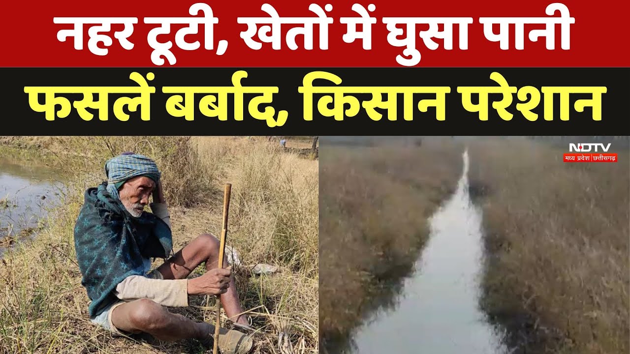 नहर टूटी, खेतों में घुसा पानी. फसलें बर्बाद होने से किसान परेशान, कौन जिम्मेदार?