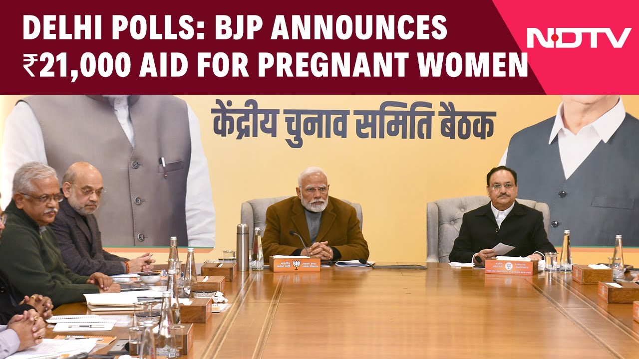 Video : BJP Releases Manifesto For Delhi Polls, Announces Rs 21,000 For Pregnant Women