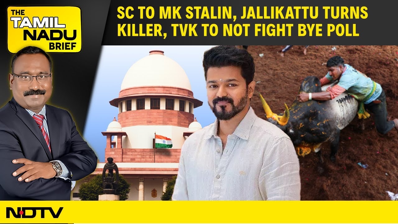 Video : SC Urges TN Guv & Govt To Resolve, Killer Jallikattu, TVK To Not Fight Bye Poll