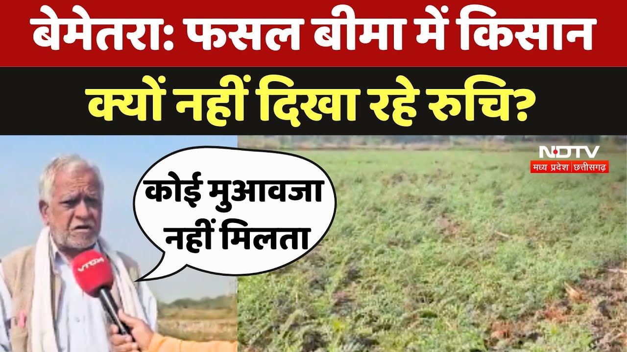 Bemetara: फसल बीमा में Farmer क्यों नहीं दिखा रहे रुचि?