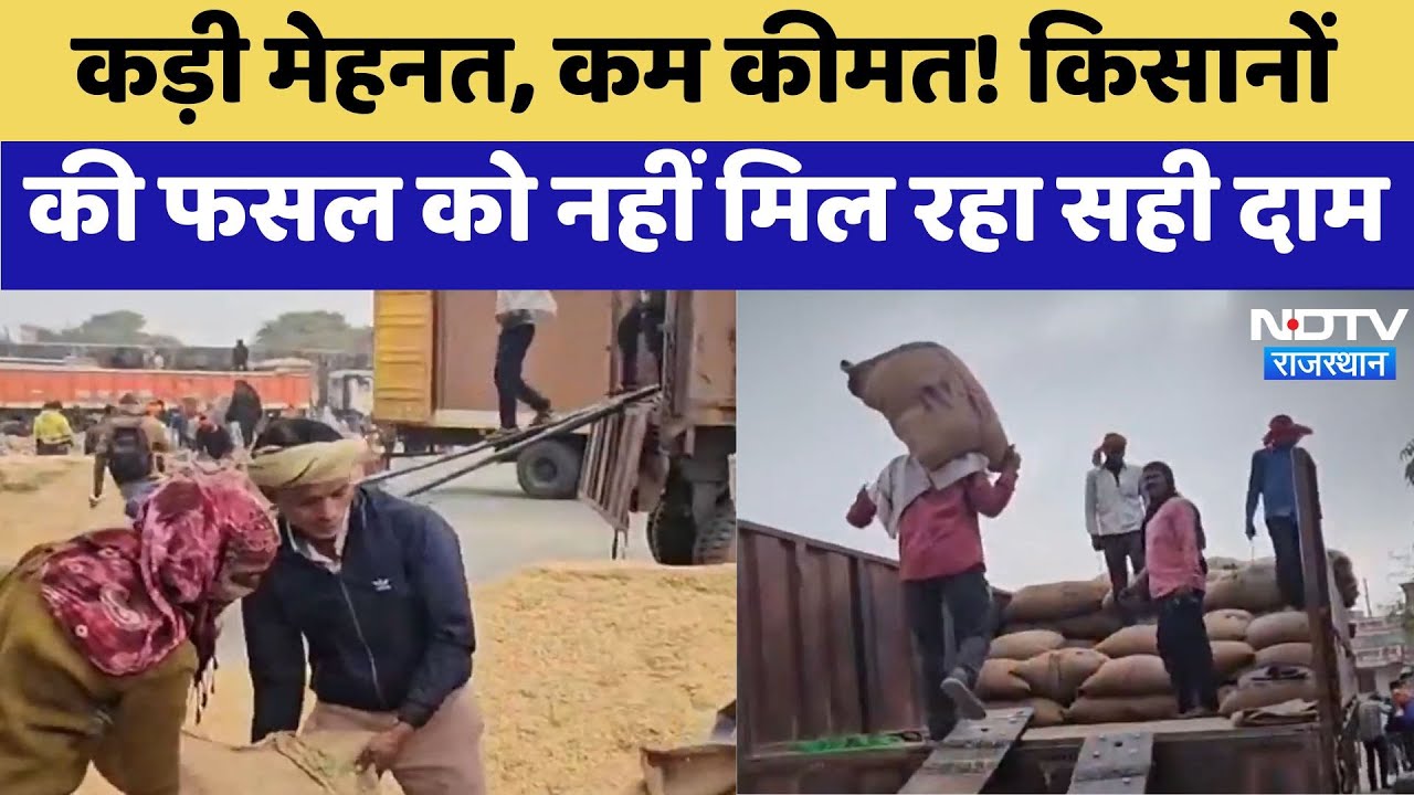 Kota News: कड़ी मेहनत, कम कीमत! किसानों की फसल को नहीं मिल रहा सही दाम | Latest News