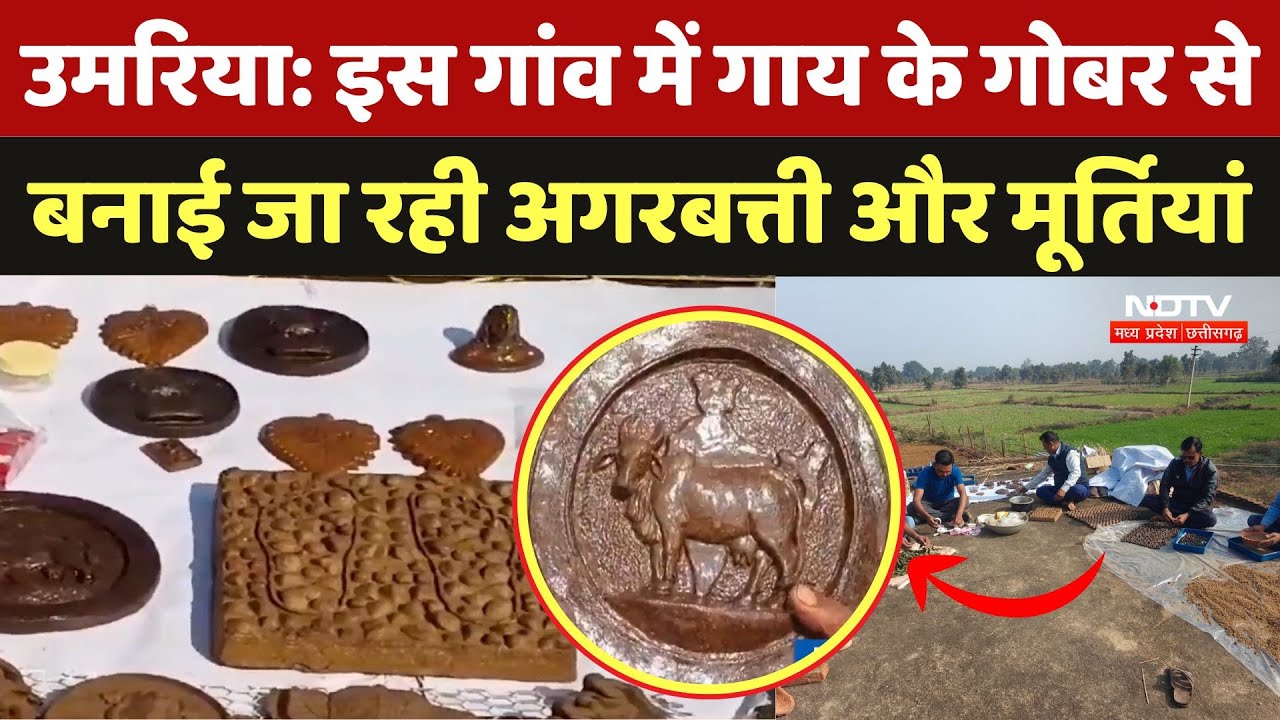 Umaria के इस गांव में गाय के गोबर से बनाई जा रही अगरबत्ती और मूर्तियां, देखें Video | Cow Dung | MP
