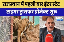 Rajasthan में पहली बार Inter State Tiger Transfer Project शुरू | Latest News | Bundi Rajasthan में पहली बार Inter State Tiger Transfer Project शुरू | Latest News | Bundi