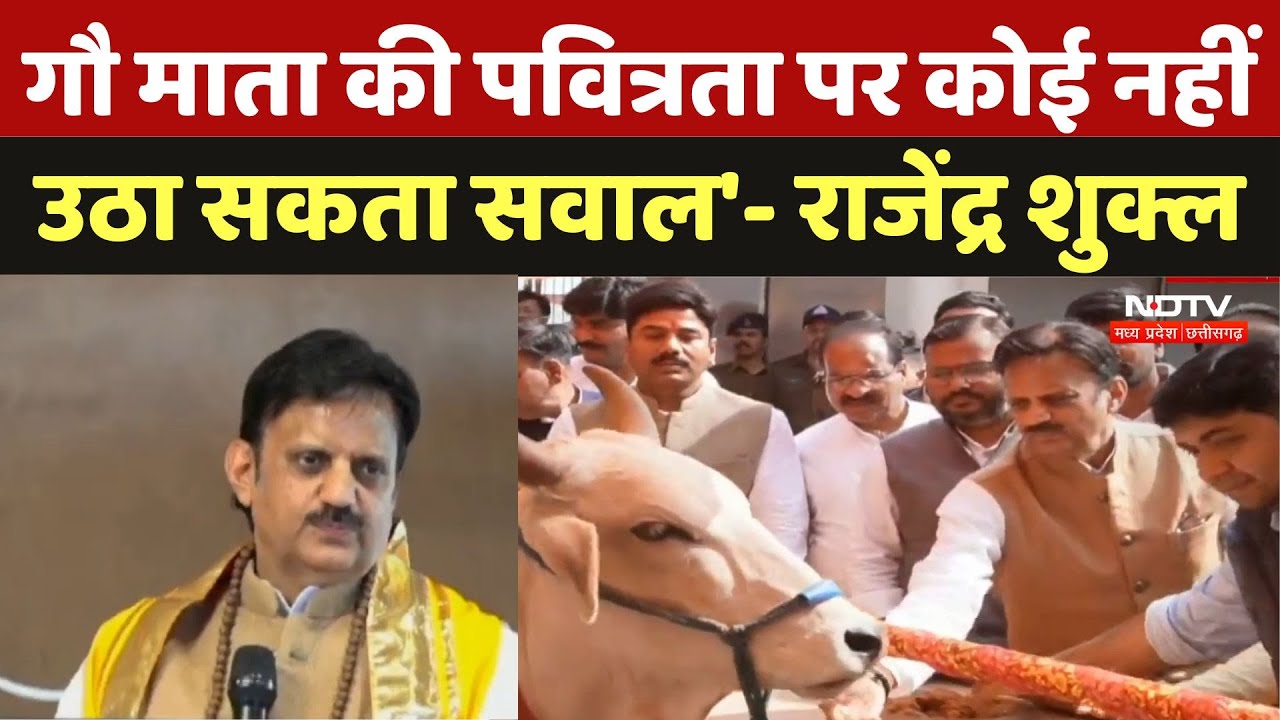 गौ माता की पवित्रता पर कोई नहीं उठा सकता सवाल'- Deputy CM Rajendra Shukla | Indian Culture | News