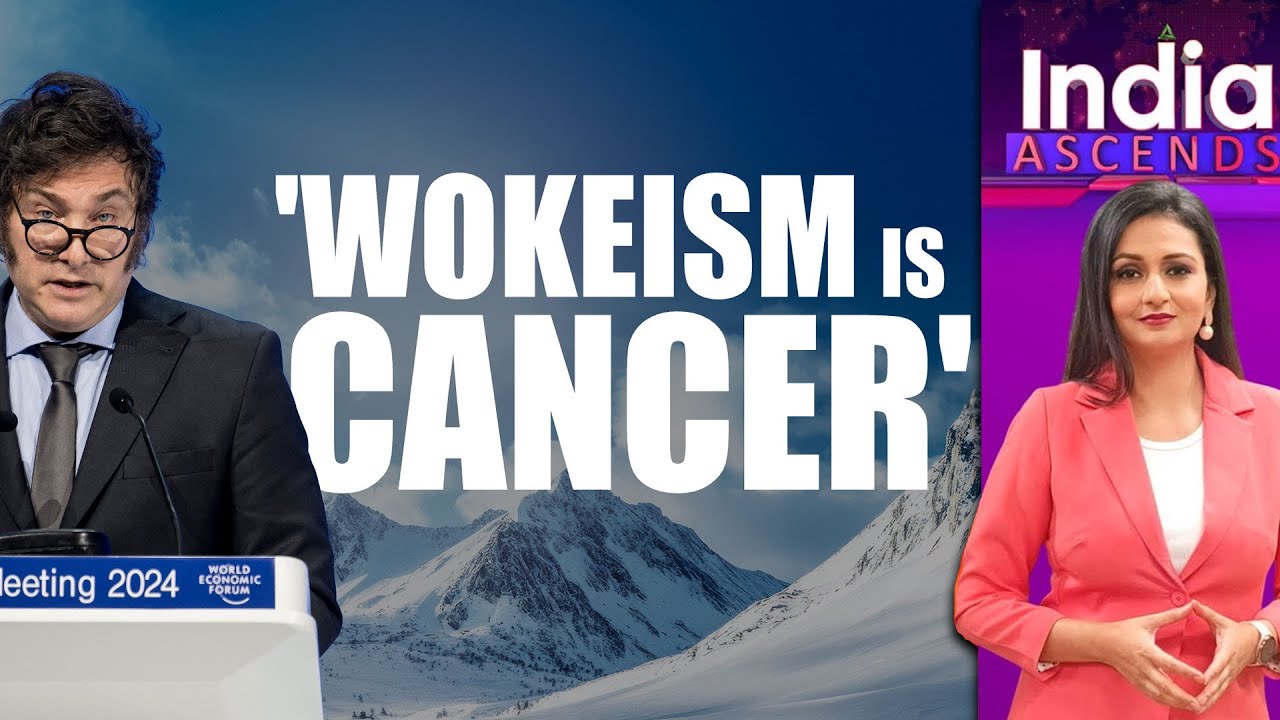 Argentina's Javier Milei Takes On 'Wokeism' At Davos World Economic Forum