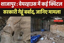 Sajapur News : वेयरहाउस में कई क्विंटल सरकारी गेहूं बर्बाद, जानिए मामला Sajapur News : वेयरहाउस में कई क्विंटल सरकारी गेहूं बर्बाद, जानिए मामला