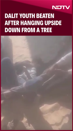 Dalit Youth Beaten After Hanging Upside Down From A Tree Dalit Youth Beaten After Hanging Upside Down From A Tree