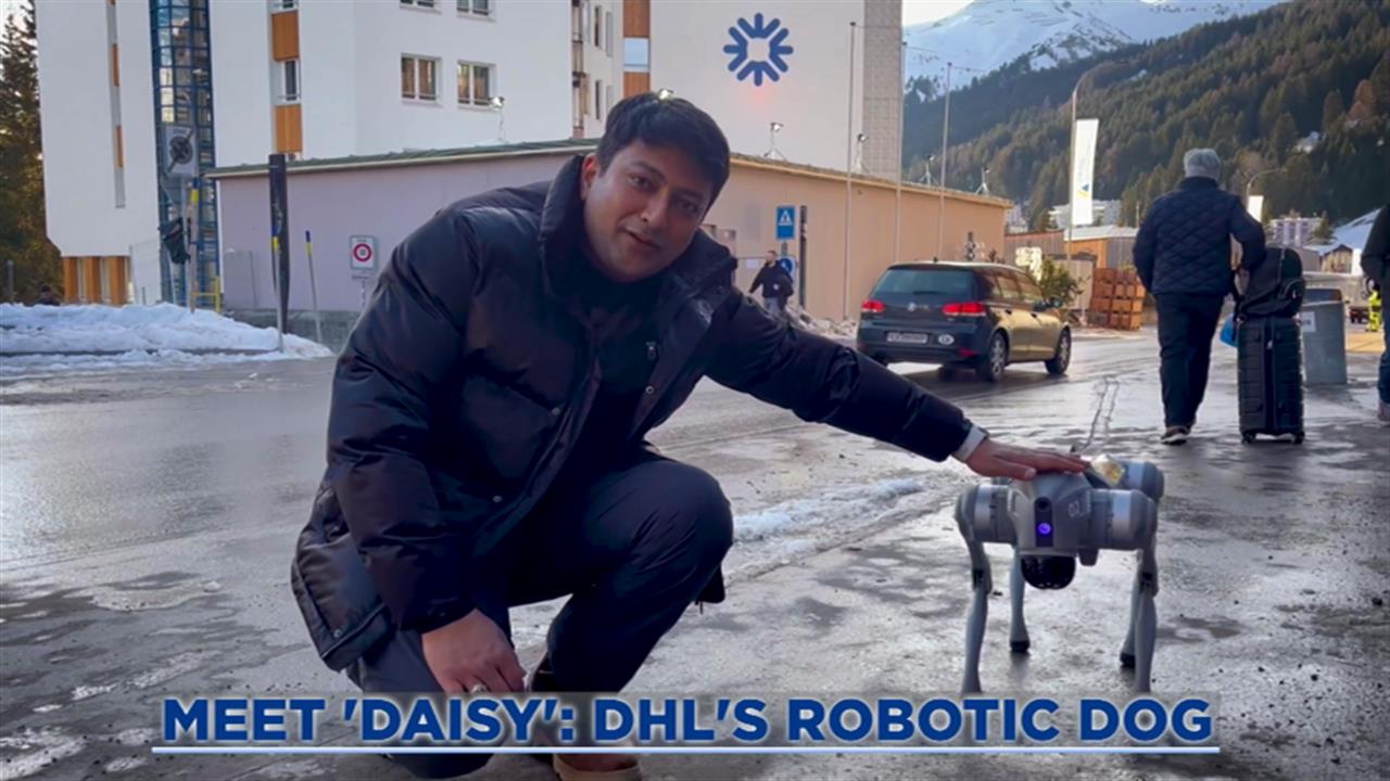 Meet 'Daisy': DHL's Robotic Dog Revolutionizing Workplace Safety