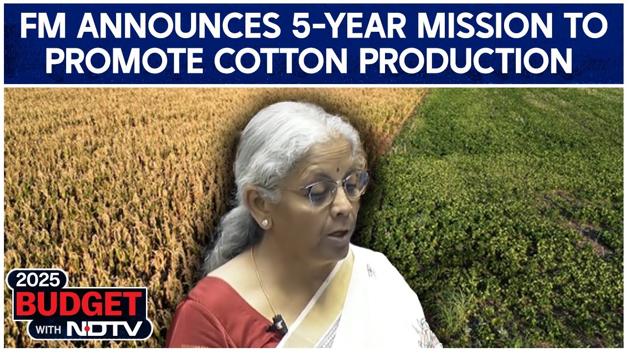 FM Sitharaman Announces 5-Year Mission To Promote Cotton Production