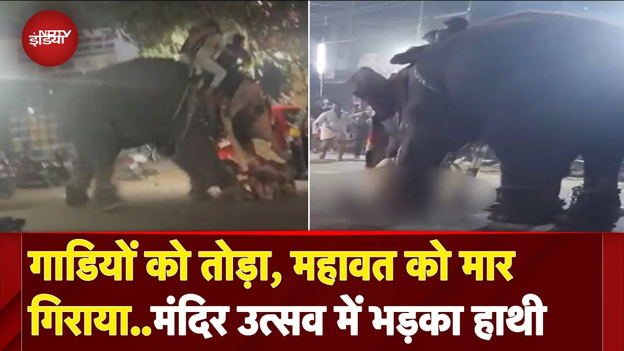 Kerala: Palakkad में मंदिर उत्सव में भड़का हाथी, महावत की मौत, लोगों में भगदड़ | NDTV India