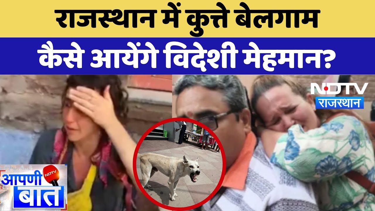 Rajasthan में कुत्ते बेलगाम कैसे आयेंगे विदेशी मेहमान? | Street Dogs | Latest News | Jodhpur