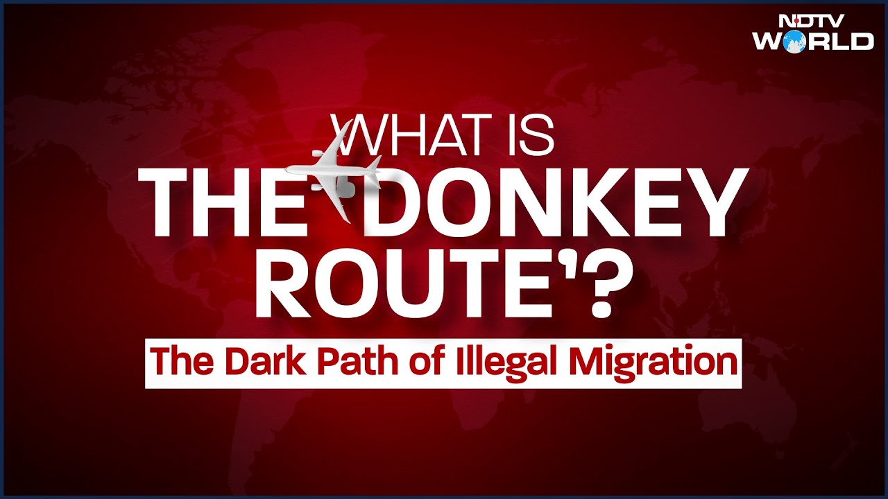 Over 100 Indians Deported From US: How 'Donkey Route' Business Works Over 100 Indians Deported From US: How 'Donkey Route' Business Works