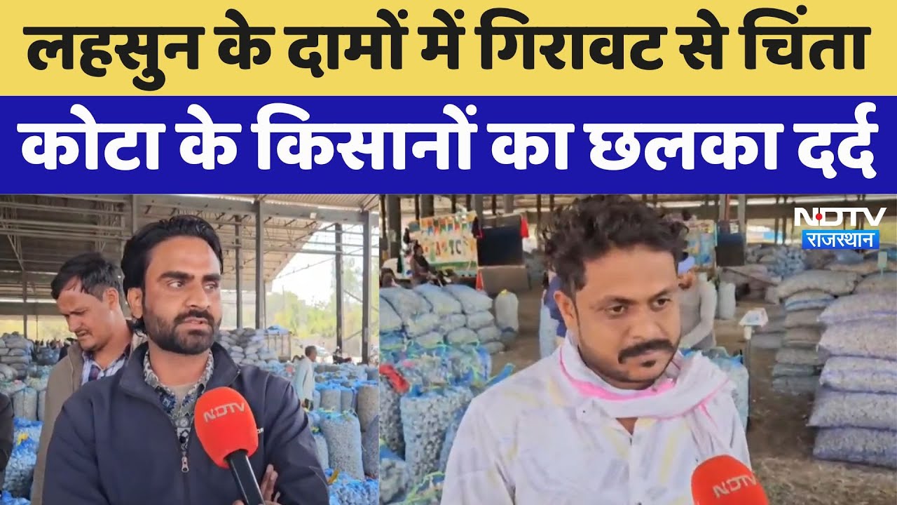 Garlic Price Today: लहसुन के दामों में गिरावट से चिंता, कोटा के किसानों का छलका दर्द
