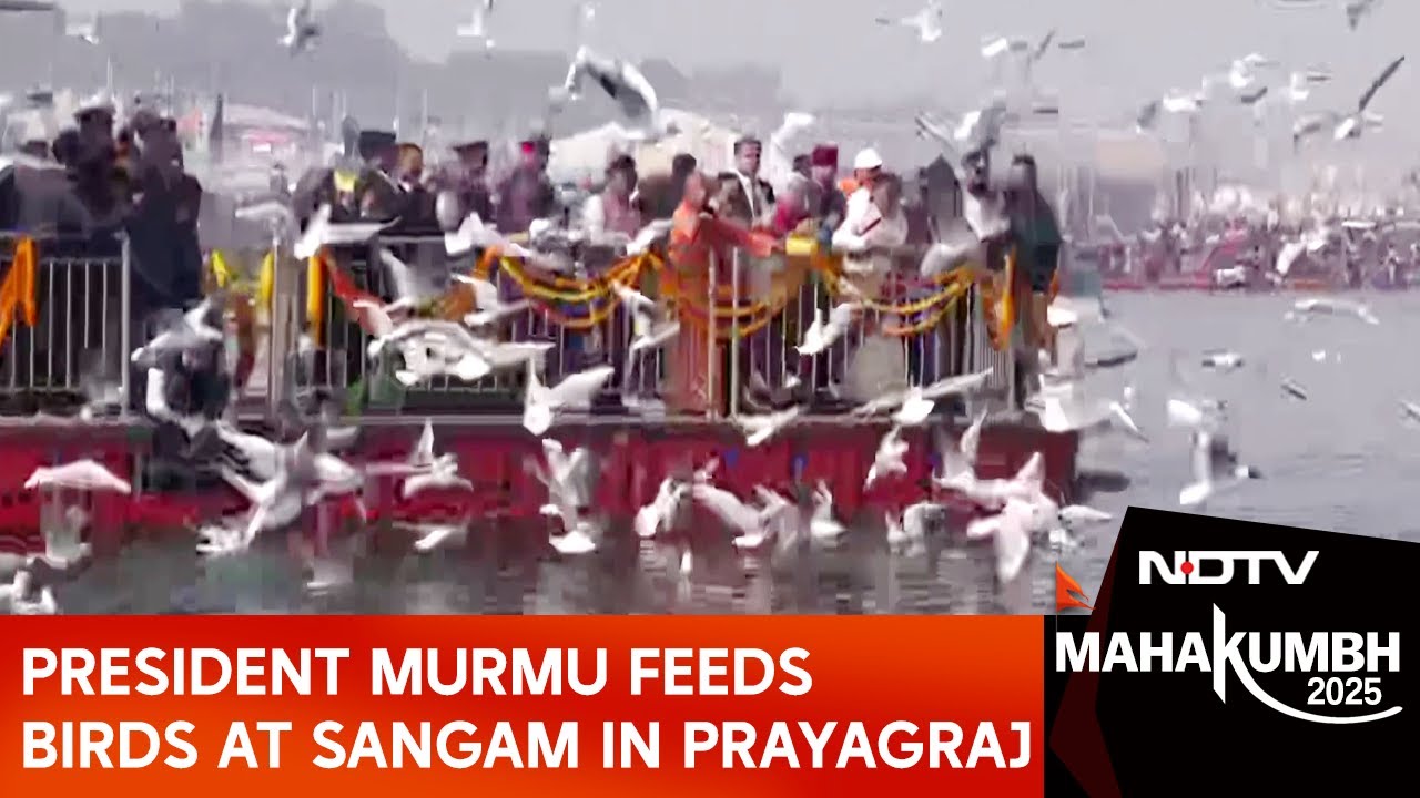 President Droupadi Murmu Feeds Migratory Birds At Sangam In Prayagraj