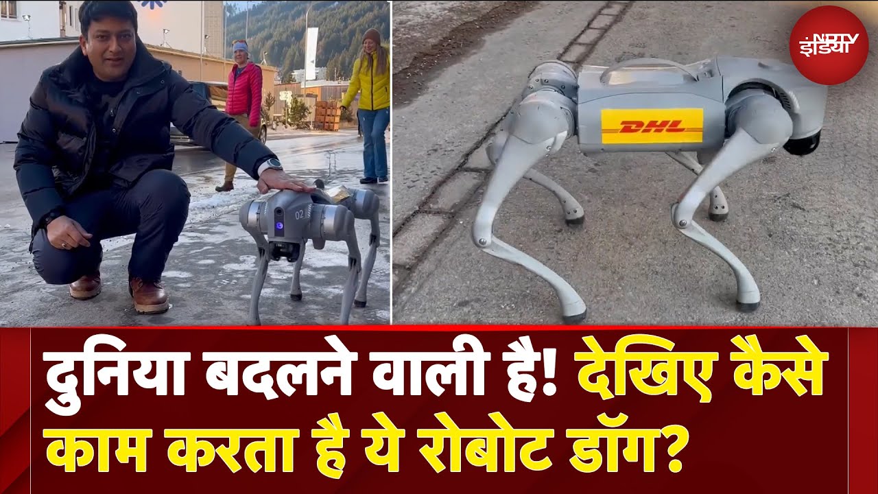 क्या देखा है ऐसा DOG जिसे हर कोई रखना चाहेगा अपने House में | कैसे काम करता है Robotic Dog?