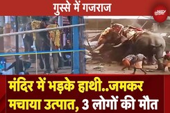 Kerala: मंदिर उत्सव के दौरान भड़के 2 हाथियों ने मचाया उत्पात, हमले में 3 लोगों की मौत | Elephants Kerala: मंदिर उत्सव के दौरान भड़के 2 हाथियों ने मचाया उत्पात, हमले में 3 लोगों की मौत | Elephants