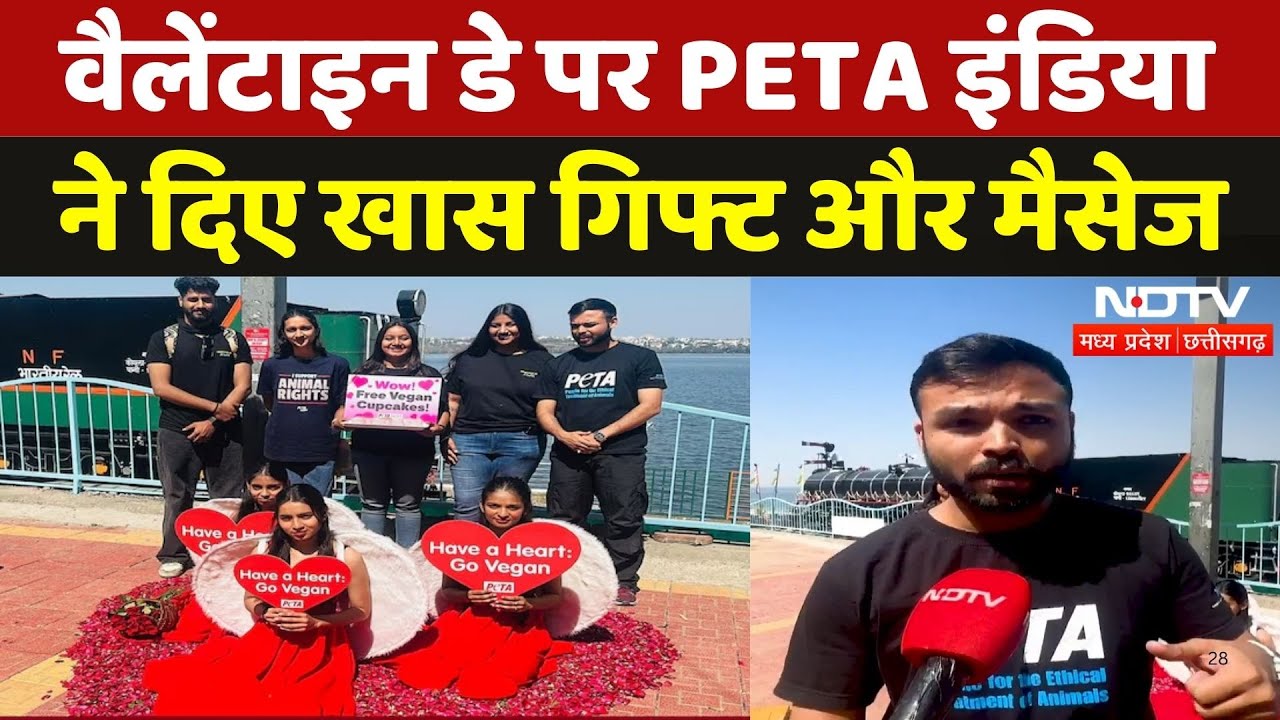 Valentine's Day के मौके पर PETA India ने Bhopal में दिया ये खास संदेश, कहा- Vegan बनें | NDTV MPCG