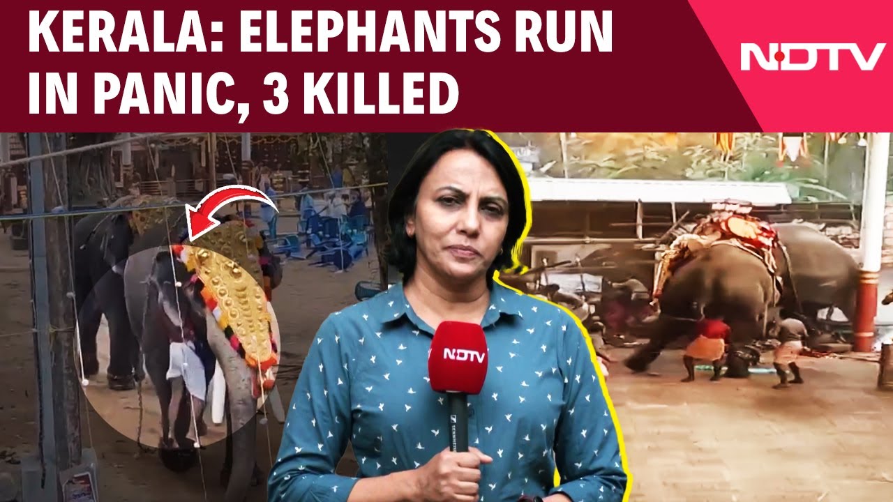 Elephant Attack Kerala | 3 Killed As 2 Elephants Run In Panic, Cause Stampede At Kerala Temple Elephant Attack Kerala | 3 Killed As 2 Elephants Run In Panic, Cause Stampede At Kerala Temple