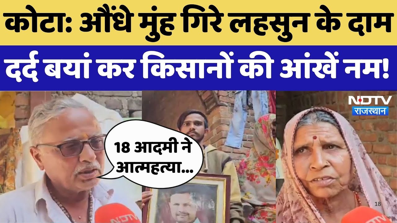 Garlic Price Today: औंधे मुंह गिरे लहसुन के दाम, दर्द बयां कर किसानों की आंखें नम!। Rajasthan । Kota Garlic Price Today: औंधे मुंह गिरे लहसुन के दाम, दर्द बयां कर किसानों की आंखें नम!। Rajasthan । Kota