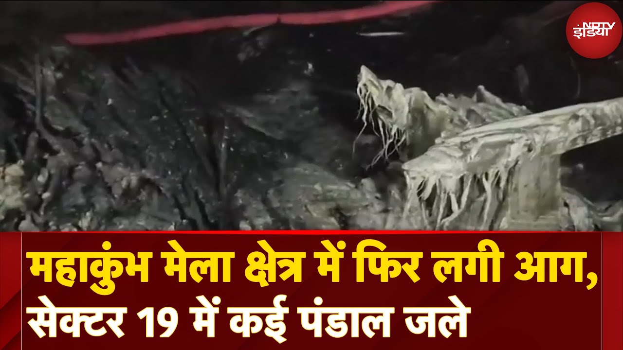 Mahakumbh Fire: महाकुंभ में Sector 19 के मोरी मार्ग में खाली टेंट में लगी आग पर काबू पाया गया