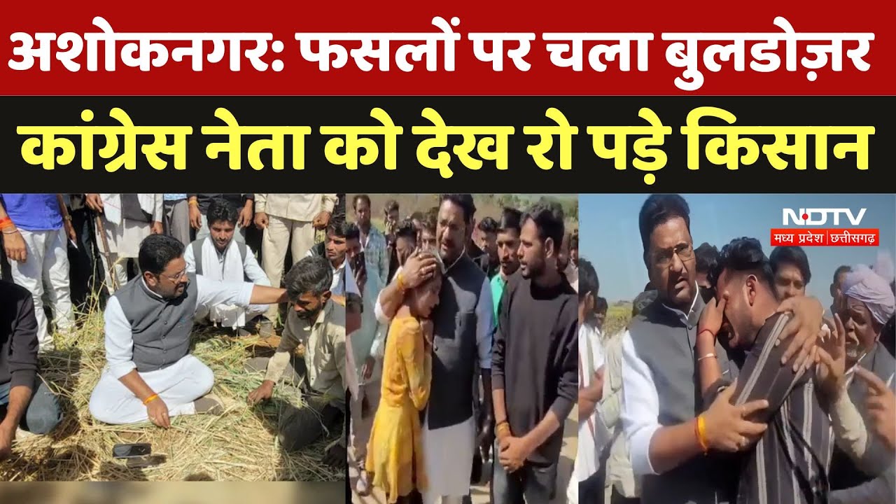 Ashoknagar Bulldozer Action: फसलों पर चला बुलडोज़र, पहुंची कांग्रेस, तो फूट-फूटकर रोने लगे किसान