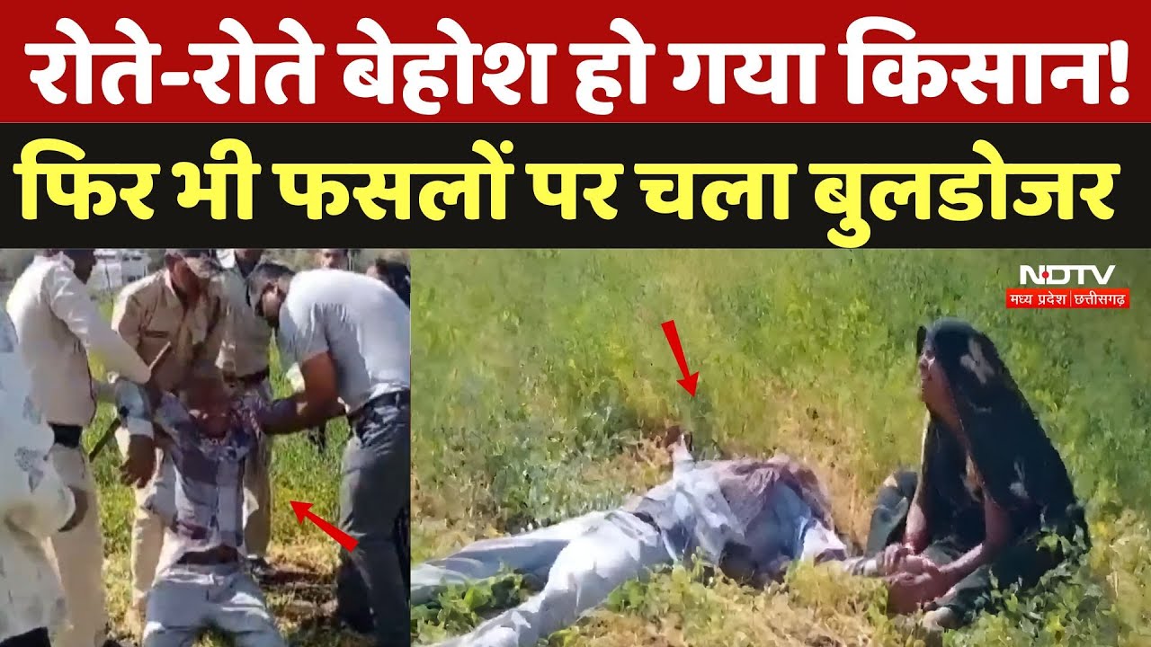 Vidisha Kisan: रोते-रोते बेहोश हो गया किसान! फिर भी फसलों पर चला बुलडोजर | Bulldozer Action |MP News