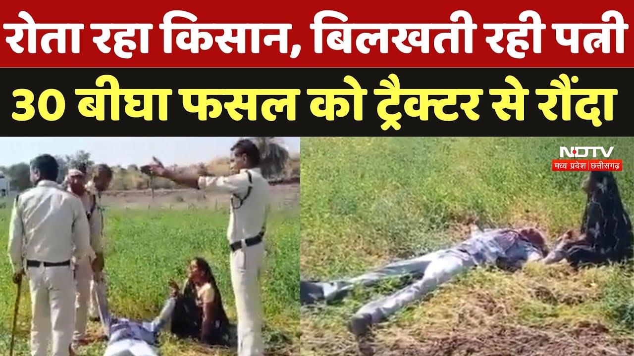 Vidisha News: 30 बीघा फसल पर प्रशासन का चला ट्रैक्टर तो बेहोश होकर गिरा किसान, देखिए Video