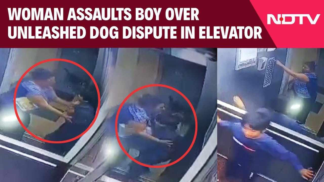 Video: Boy Asks Woman Not To Bring Unleashed Dog Inside Lift. Then This Happens