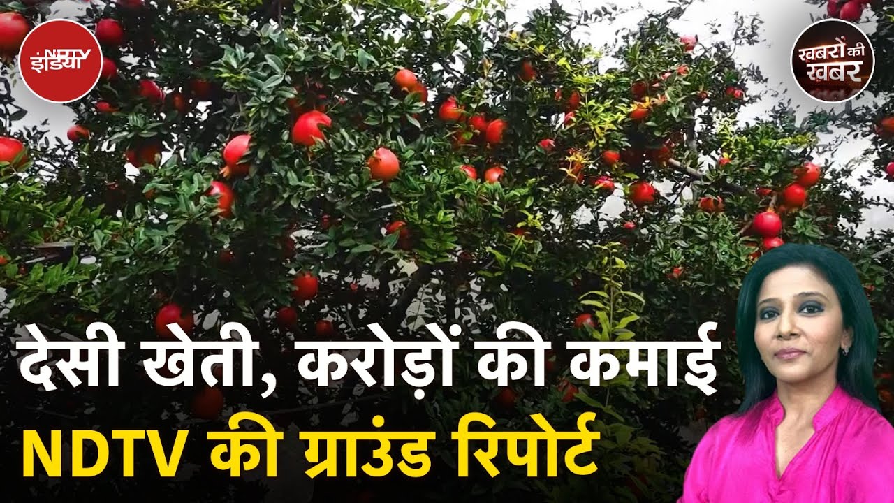 Video : Fruit Exports: खास फलों की खेती करके भारत में तमाम किसान विदेशों में कर रहे हैं करोड़ों का कारोबार?