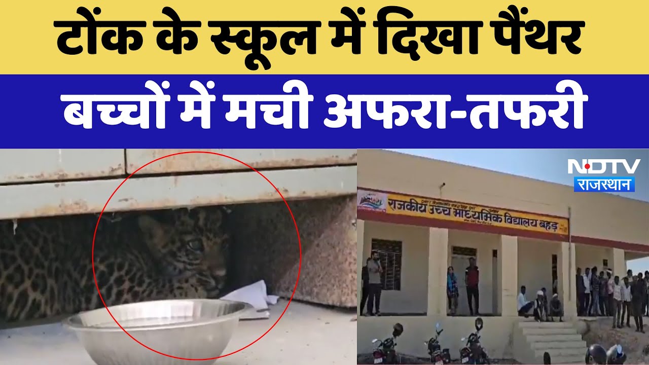 Tonk के School में दिखा Panther बच्चों में मची अफरा- तफरी | Latest News | Rajasthan News