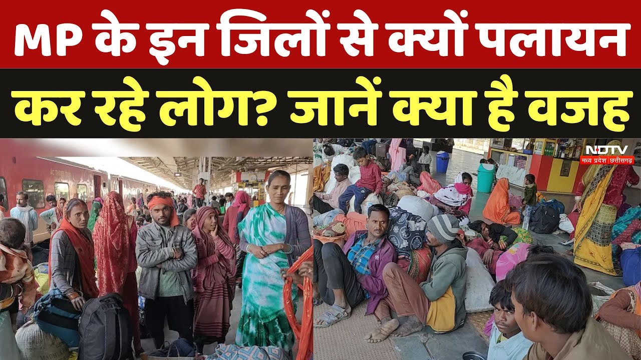 Katni News: MP के इन जिलों से क्यों पलायन कर रहे लोग? जानें क्या है वजह | Madhya Pradesh | Latest
