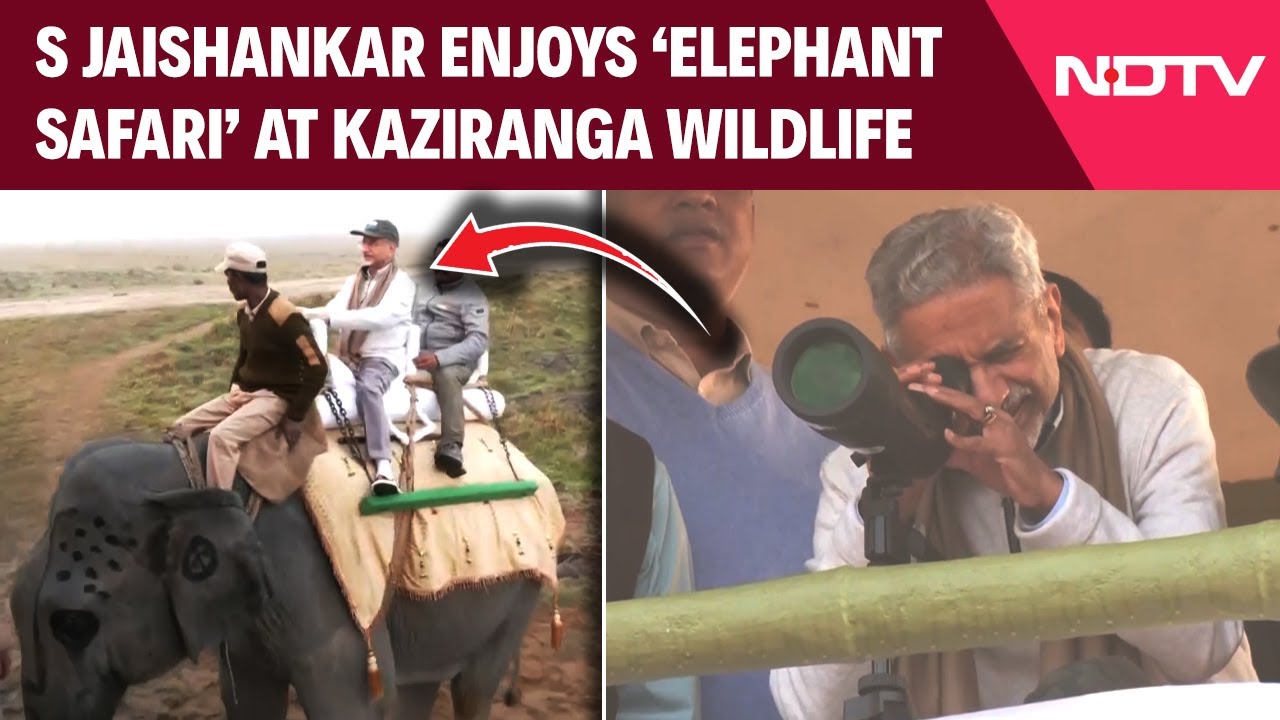 S Jaishankar In Assam: EAM S Jaishankar Enjoys 'Elephant Safari' At Kaziranga Wildlife