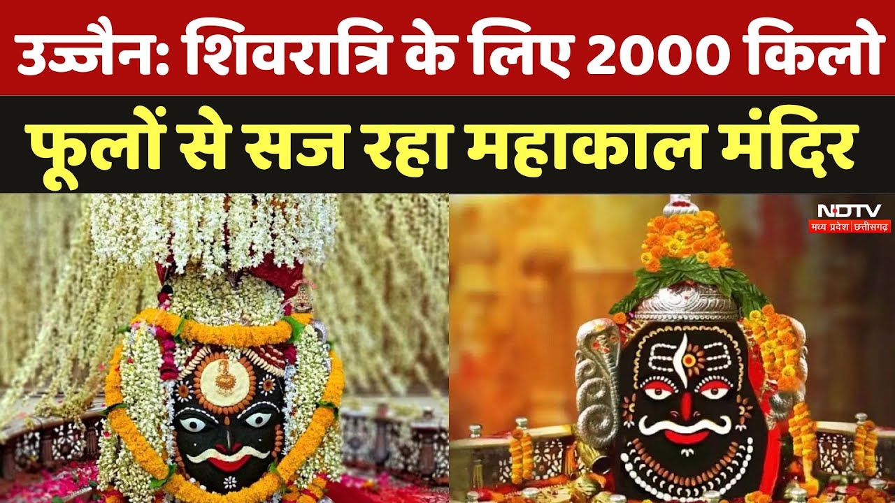 Ujjain Mahashivratri 2025: शिवरात्रि के लिए 2000 किलो फूलों से सज रहा महाकाल मंदिर, देखें Video