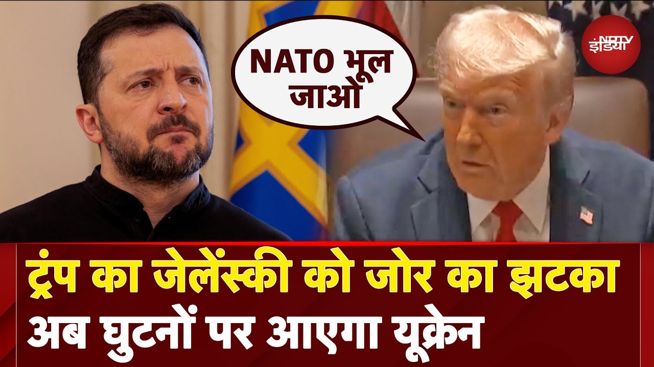 Russia Ukraine War: Zelenskyy को Trump का 'झटका', NATO से इनकार, US से Minerals Deal करेगा यूक्रेन? Russia Ukraine War: Zelenskyy को Trump का 'झटका', NATO से इनकार, US से Minerals Deal करेगा यूक्रेन?