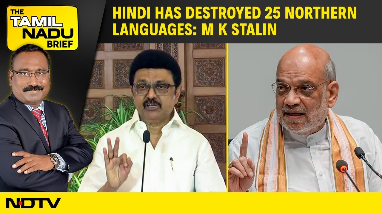 Video: Hindi Has Destroyed 25 Northern Languages: M K Stalin, Amit Shah Misleads On Delimitation Says Udhay