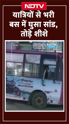 Jaipur में यात्रियों से भरी लो फ्लोर बस में घुसा सांड, शीशे तोड़े, जान बचाकर भागे लोग | Viral Video