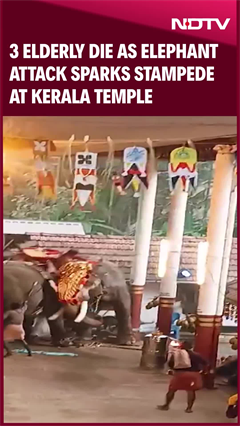 Kerala Elephant Attack | 3 Elderly Die As Elephant Attack Sparks Stampede At Kerala Temple Kerala Elephant Attack | 3 Elderly Die As Elephant Attack Sparks Stampede At Kerala Temple