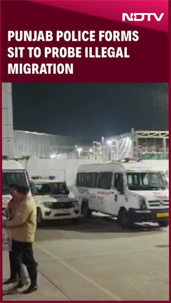 US Deportation | Deportations From US: Punjab Police Forms SIT To Probe Illegal Migration