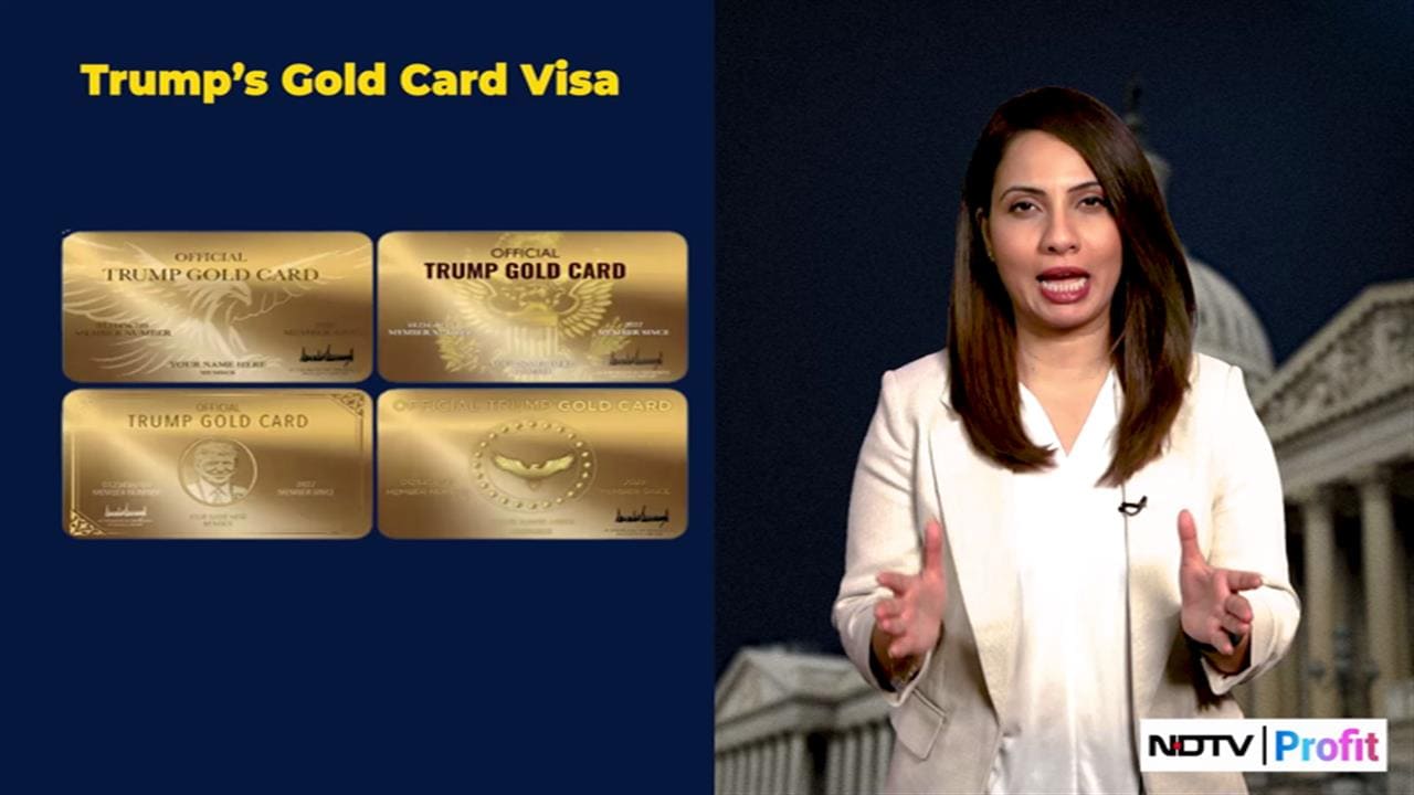 How Does Trump's Gold Card Visa Stack Up Against Other Golden Visas?