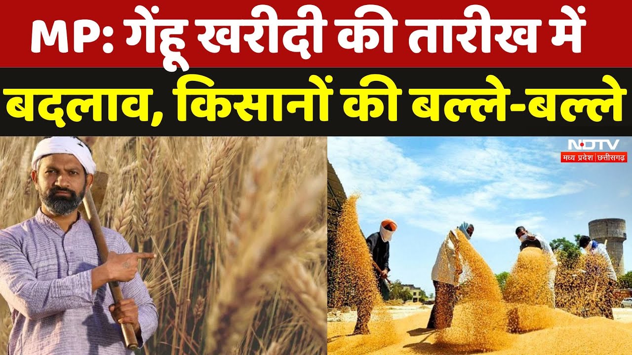 MP Gehu Kharidi 2025: सरकार के इस फैसले से Farmers को बड़ी राहत, मिलेगा 1400 करोड़ का Bonus | Latest