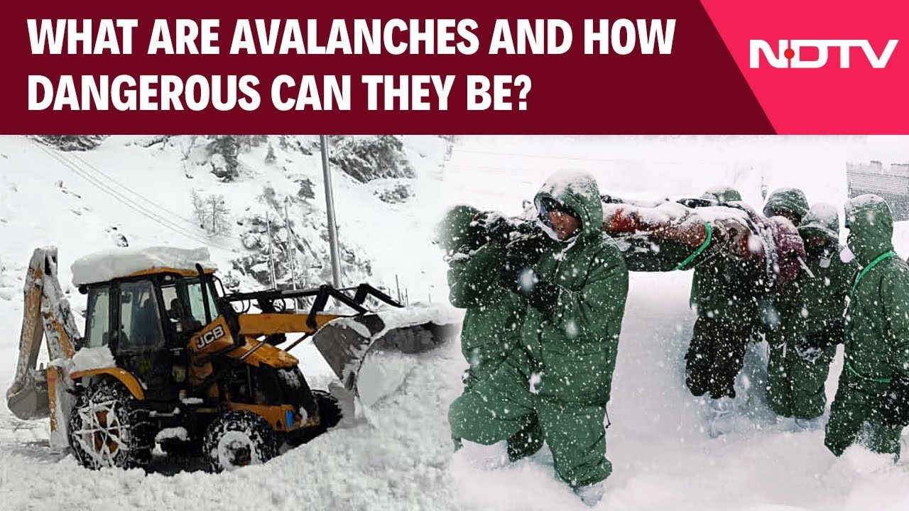 Explained: Uttarakhand Avalanche | What Are Avalanches And How Dangerous Can They Be?