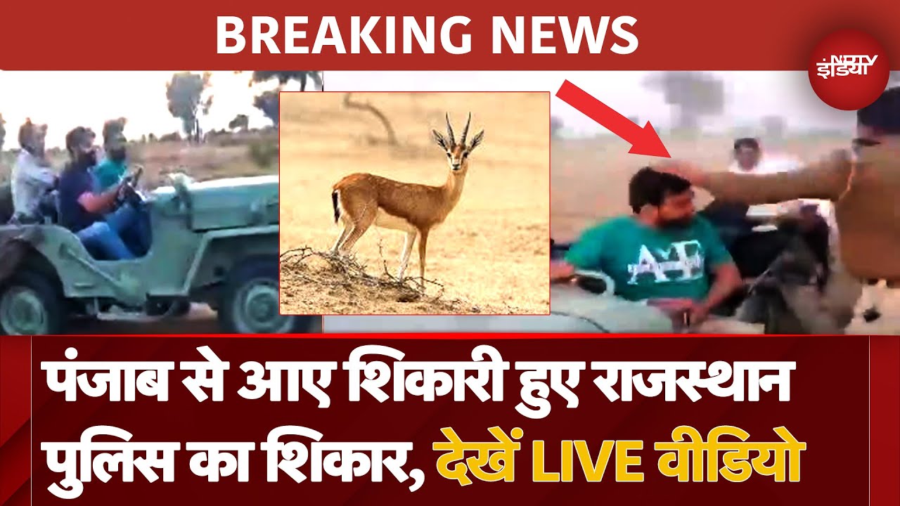 Bikaner में कर रहे थे Chinkara Deer का शिकार तभी Rajasthan Police ने शिकारियों को दबोचा, LIVE Video