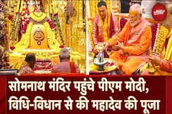 PM Modi Somnath Temple Visit: पीएम मोदी ने सोमनाथ मंदिर में की पूजा-अर्चना, महादेव का किया जलाभिषेक PM Modi Somnath Temple Visit: पीएम मोदी ने सोमनाथ मंदिर में की पूजा-अर्चना, महादेव का किया जलाभिषेक