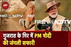 PM Modi ने Gujarat में जंगल सफारी का उठाया लुत्फ, देखिए तस्वीरें | NDTV India PM Modi ने Gujarat में जंगल सफारी का उठाया लुत्फ, देखिए तस्वीरें | NDTV India
