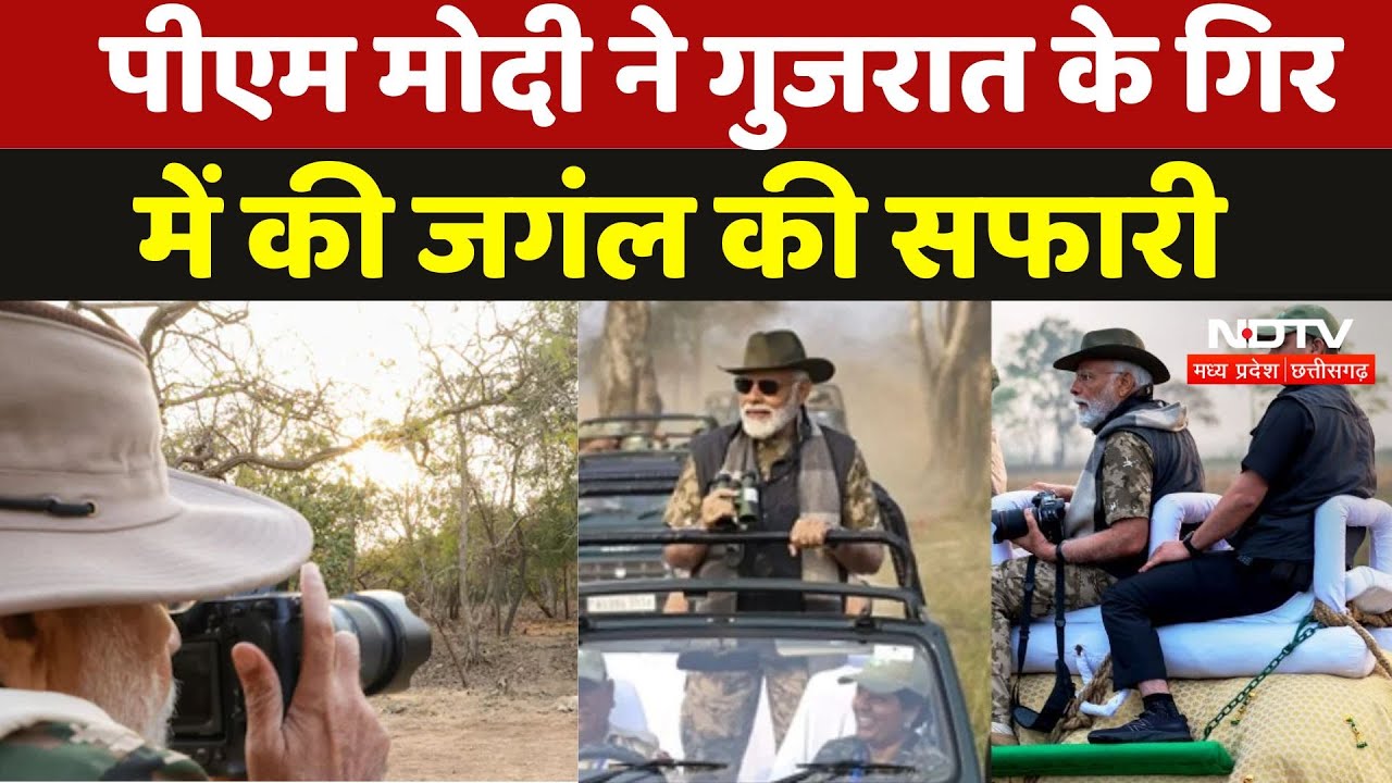 PM Modi at Gir Forest: पीएम मोदी ने गिर में सफारी का लिया आनंद, देखिए Video | World Wildlife Day